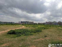 广东江门新会出售工业地皮50亩，可分割出售20亩起