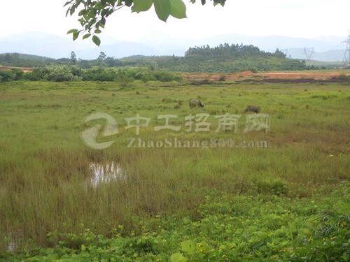 上海浦东经济开发新区国有土地100亩诚邀企业入驻1
