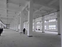 闵行一楼厂房出售层高6米承重2吨104地块红本