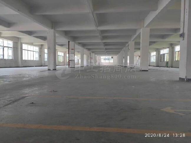 广州黄埔工业园区独院厂房仓库4860方出租，可办环评原房东