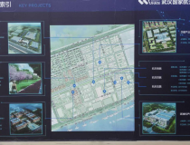 武汉市新洲区新出国有工业用地200亩大小可以分割