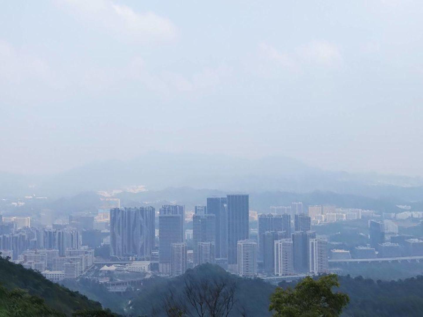 南山西丽大学城地铁物业整层办公住家装修均可6