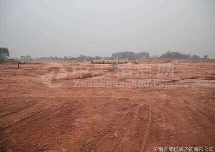 广东河源500亩国有土地出售，政府招商引资项目有红本产权清晰1