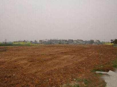 广东河源500亩国有土地出售，政府招商引资项目有红本产权清晰
