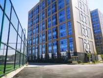 增城新塘镇商贸中心可做教育出租培训酒店公寓靠近地铁站