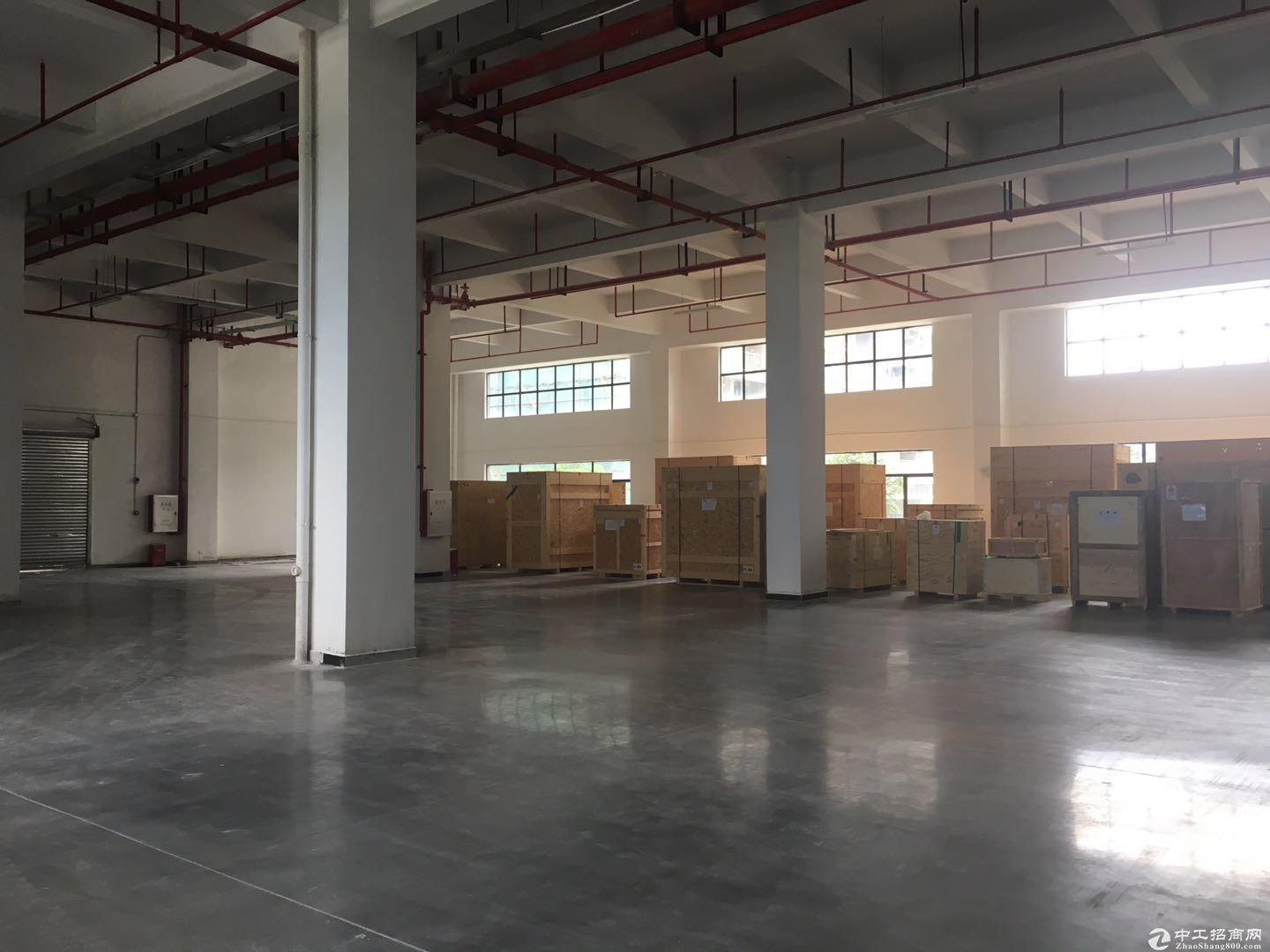 广州黄埔萝岗标准厂房一楼500平方招租可分，适合仓库轻加工