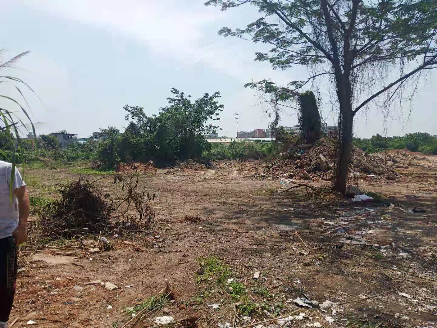 狮岭镇芙蓉大道100亩空地出租，可硬化2