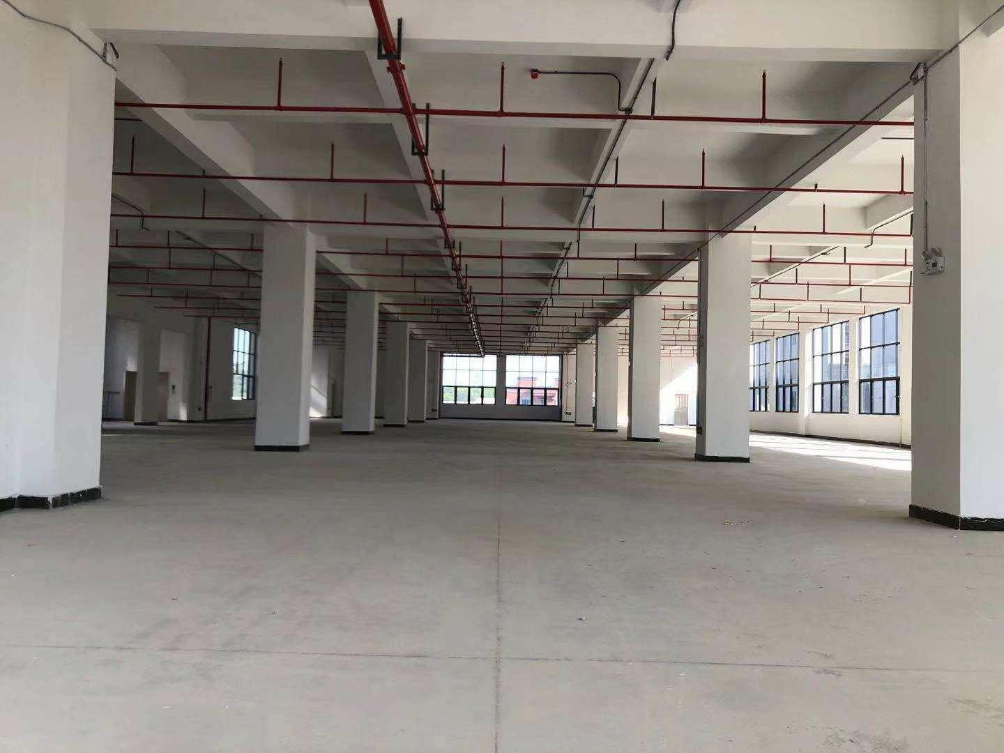 厚街陈屋新出单一层3100平米厂房可做仓库空地超大高度有7米