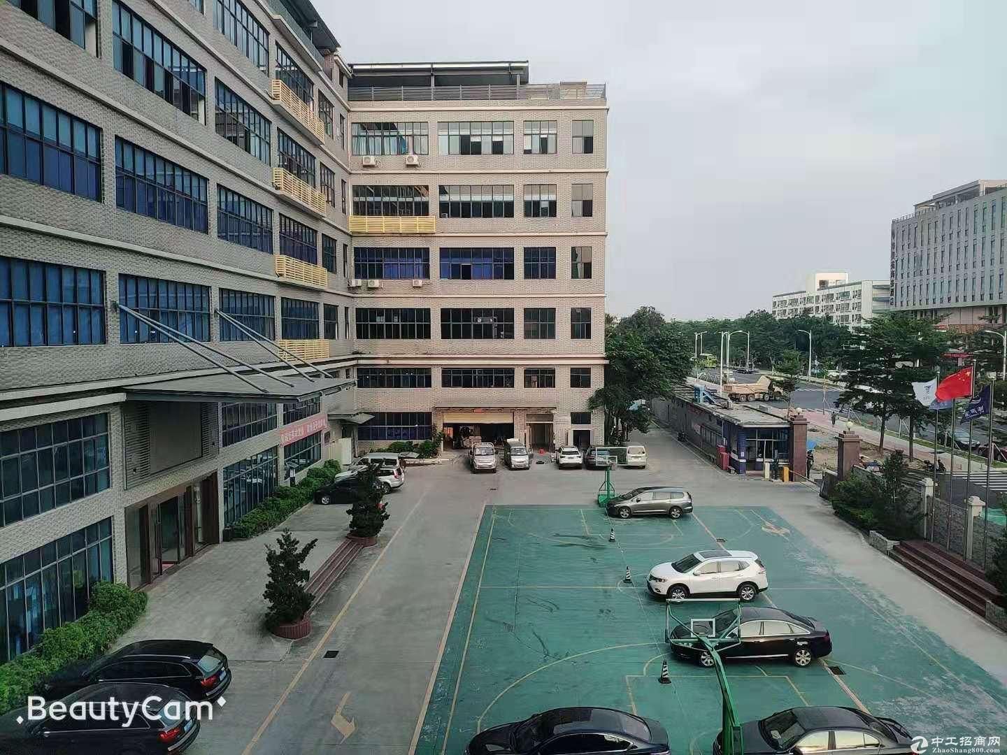 松岗燕川新出一楼厂房2500平方米高7米带牛角原房东26元招