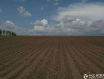 中山坦洲镇国有工业地皮出售20亩起50年产权