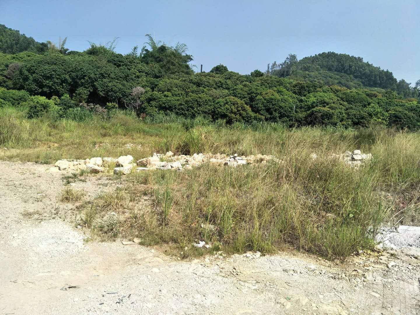 东莞市塘厦林村可报建红本工业用地19亩出租，可办环评可分租3