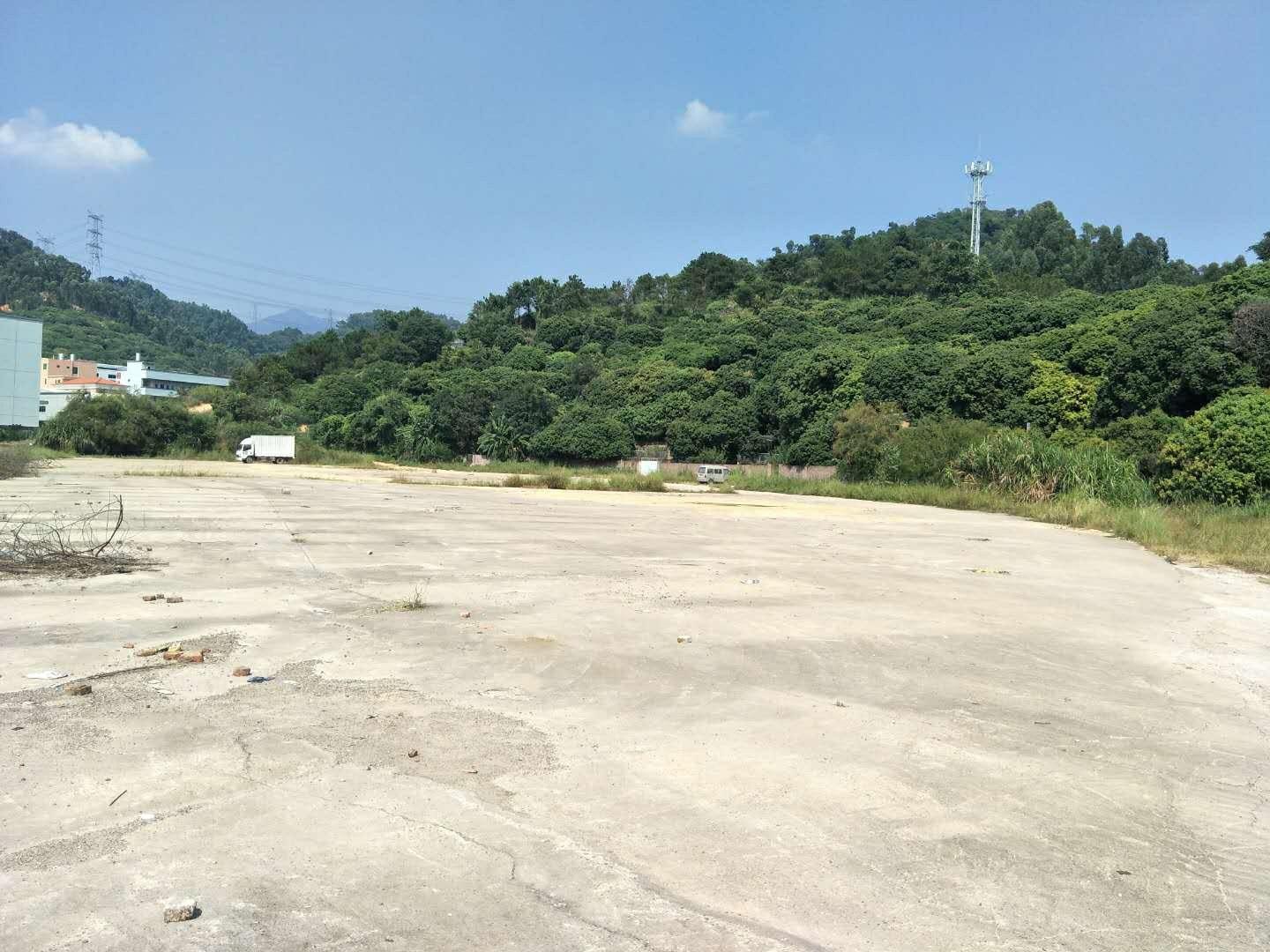 东莞市塘厦林村可报建红本工业用地19亩出租，可办环评可分租2