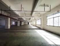 丹竹头物流园大型工业区一二楼带装修红本厂房2000平出租
