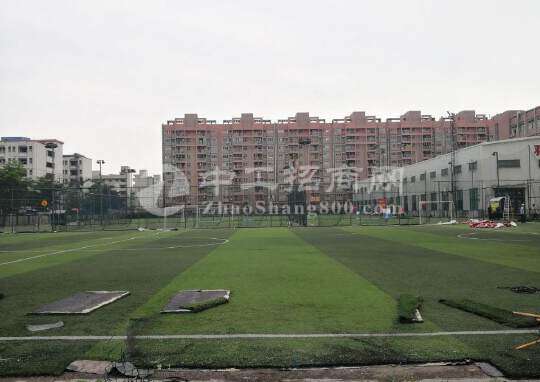 广州市增城新塘镇稀缺超大土地210亩出售