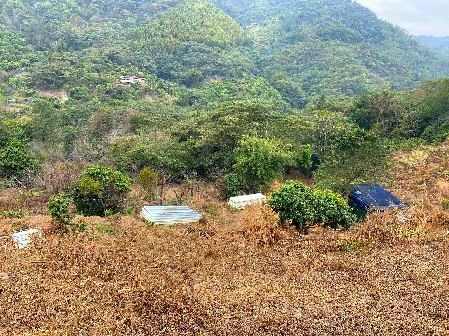 从化区温泉石门旅游区附近8亩果园房屋整体永久转让1