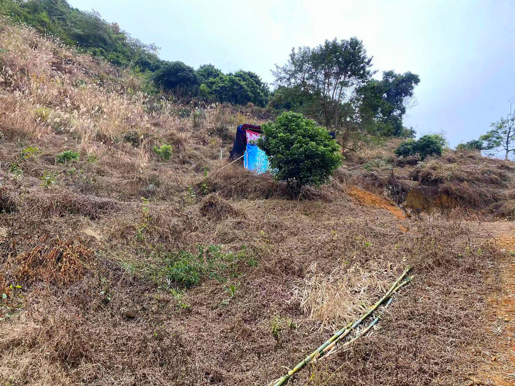 从化区温泉石门旅游区附近8亩果园房屋整体永久转让3