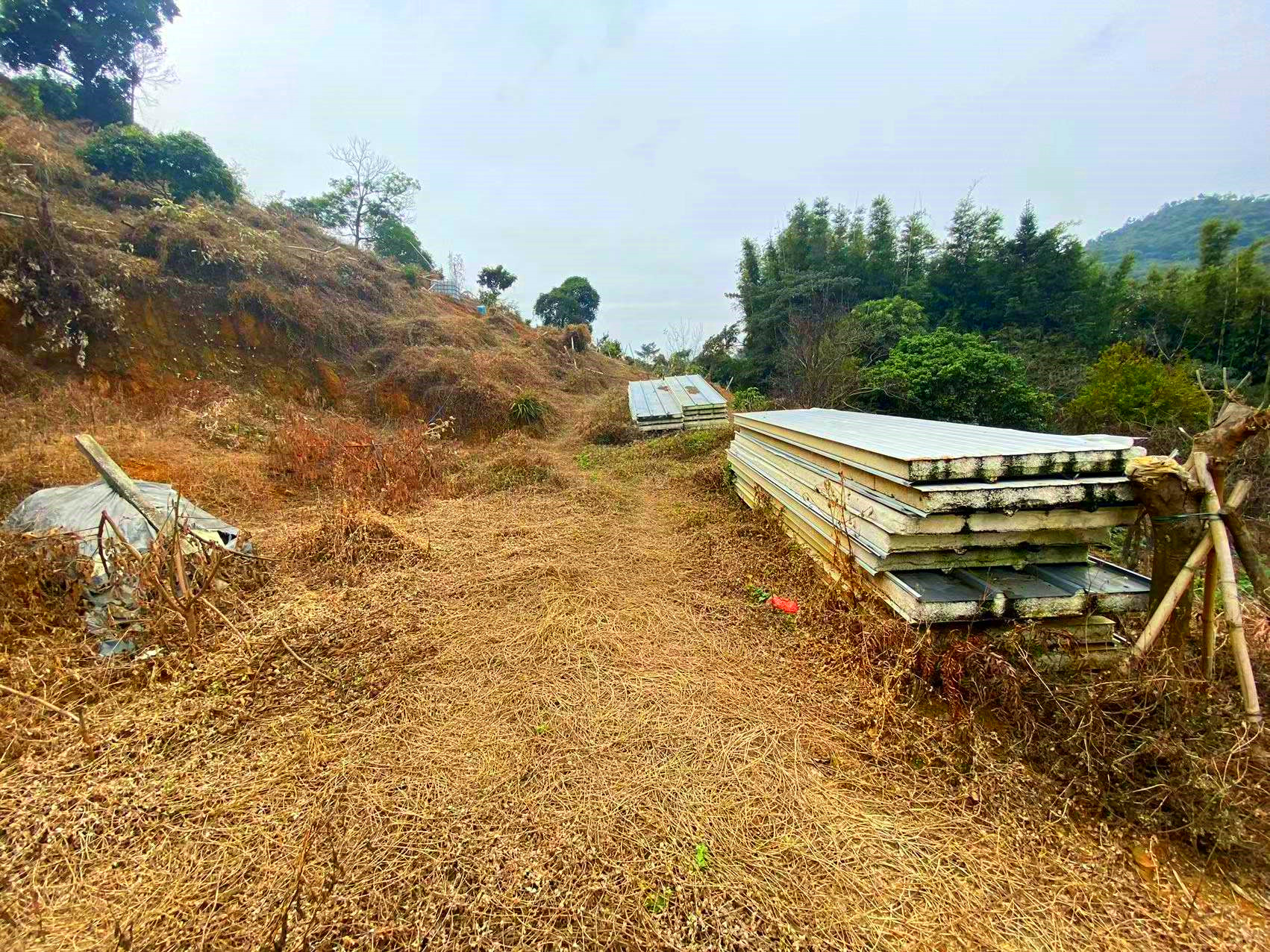 从化区温泉石门旅游区附近8亩果园房屋整体永久转让7