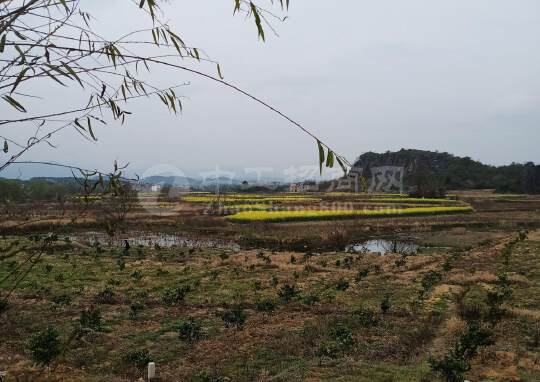 广州市新塘镇新出带建筑红本国有土地资源出售