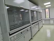 新出张江生物医药产业园1500平米生物实验室化学实验室