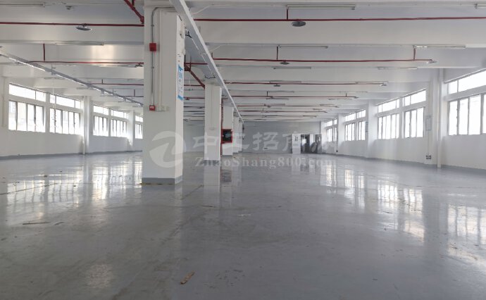 南山西丽厂房招租1580平方形象佳现场图片一楼厂房仓库