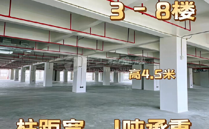 坦洲镇全新60000平独栋红本可环评标准厂房仓库出租