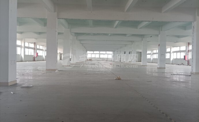 深圳南山西丽红本科技园整栋9500平方厂房仓库出租，可分租