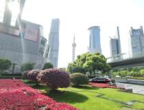金茂大厦118到3000平可定制装修家具看江近上海中心