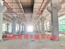 惠州惠阳全新重型工业厂房1000-4500平出售，独立红本