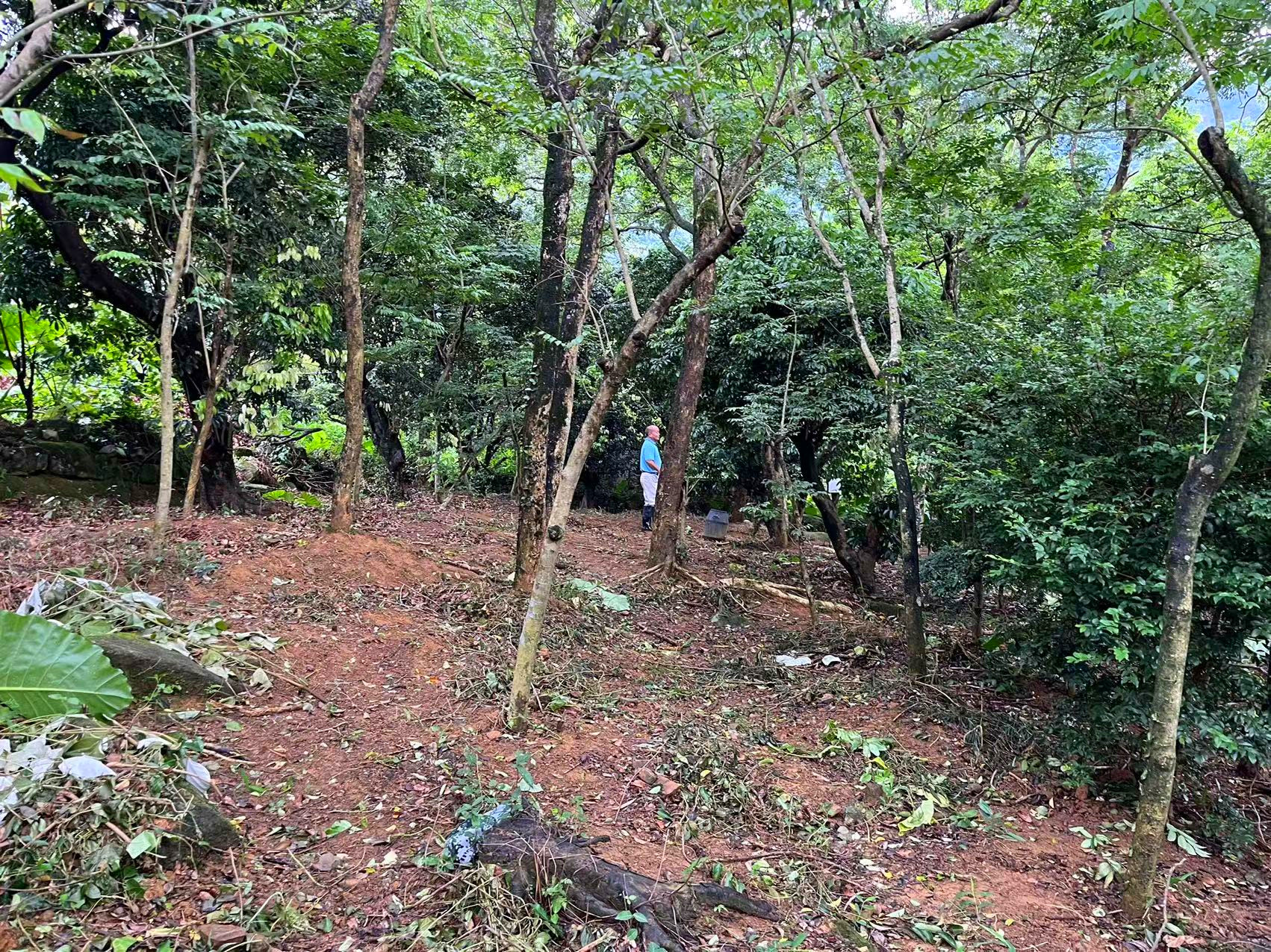 从化区温泉石门旅游区附近约8亩果园农庄整体转让7