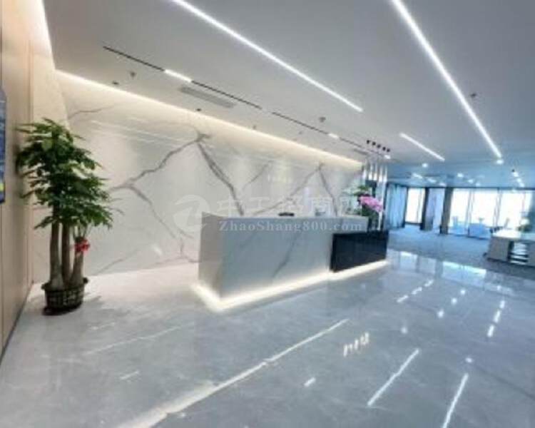 6房1厅百层上云端办公平安金融中心500平豪装一览深圳风光