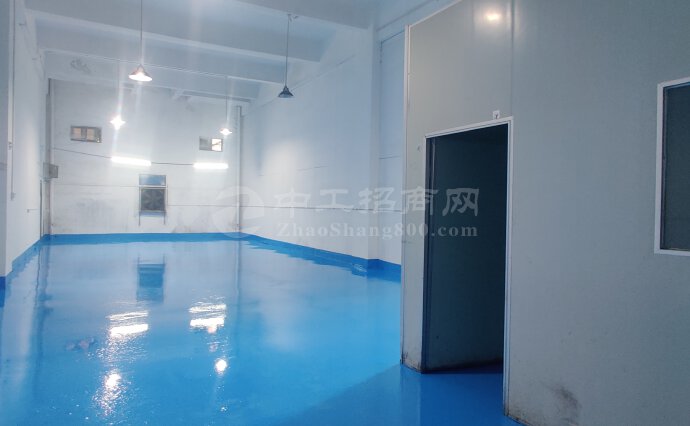 惠阳镇隆工业园新装修红本厂房仓库低价出租高度6米