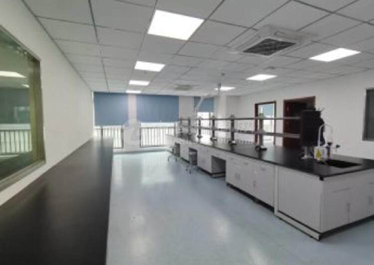 浦东生物医药园区，100平起精装修实验室，有环评1