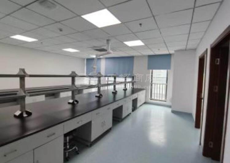 浦东生物医药园区，100平起精装修实验室，有环评7
