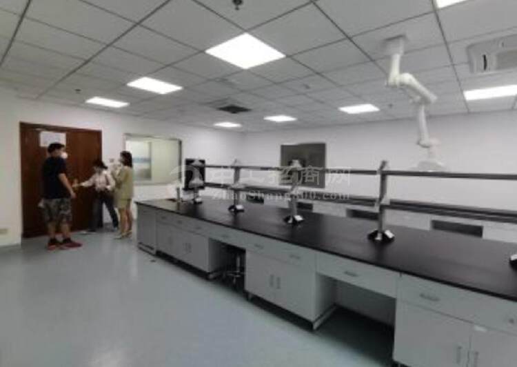 浦东生物医药园区，100平起精装修实验室，有环评8
