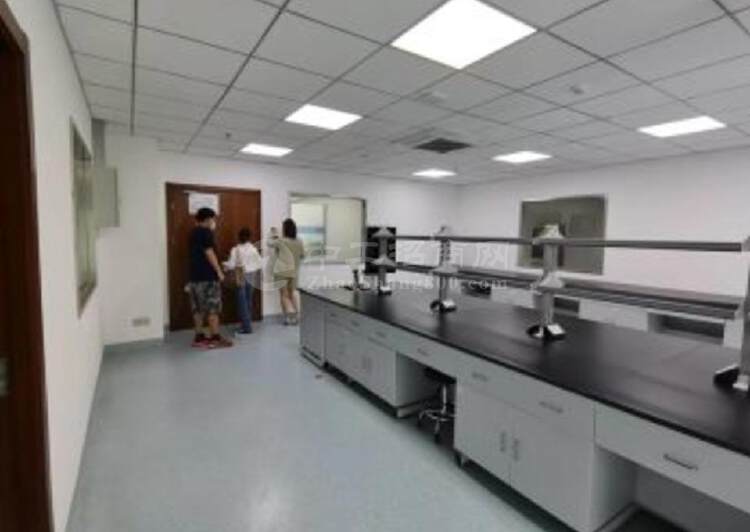 浦东生物医药园区，100平起精装修实验室，有环评6