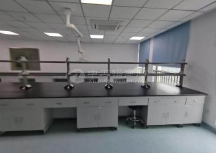 浦东生物医药园区，100平起精装修实验室，有环评3