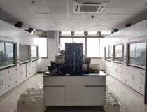 金桥精装430平化学研发室适合小分子化学合成分析检测医药研发