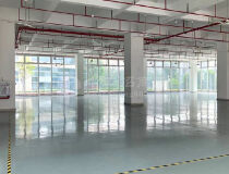 布吉开发商直租高新技术产业独栋1-7层单层面积1281平红本