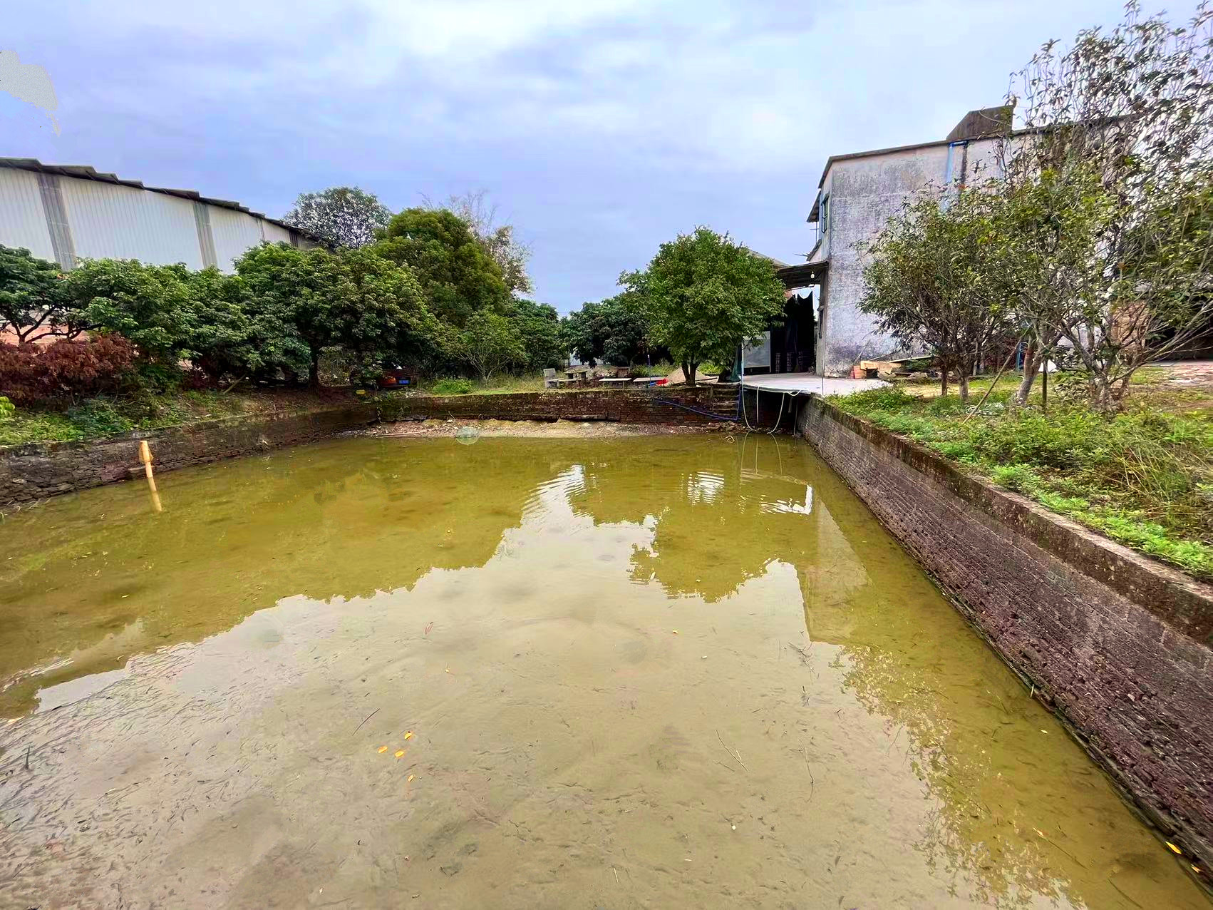 从化区城郊街2亩果园160平方房屋鱼塘农庄整体转让8