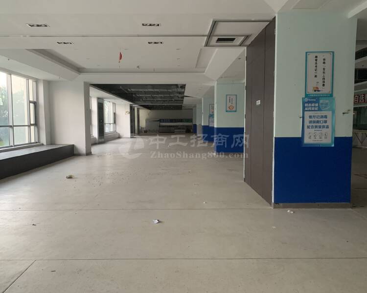张江医谷独栋研发办公，可分层租。适生物医药研发实验办公总部等