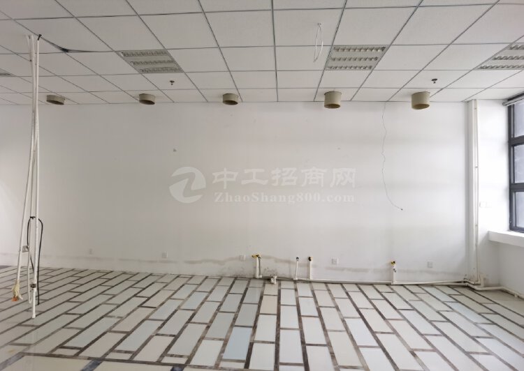 张江医谷独栋研发办公，可分层租。适生物医药研发实验办公总部等3