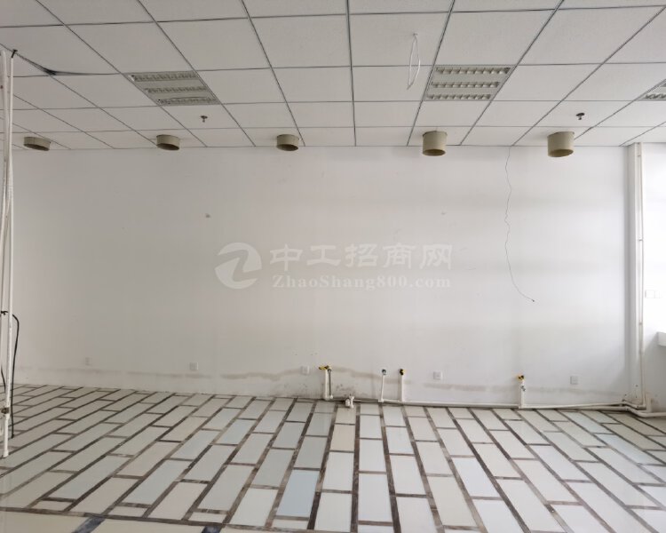 张江医谷独栋研发办公，可分层租。适生物医药研发实验办公总部等