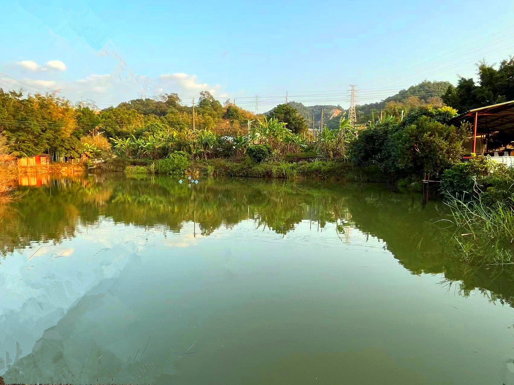 从化鳌头30亩庄园鱼塘1500平方房屋别墅整体转让7