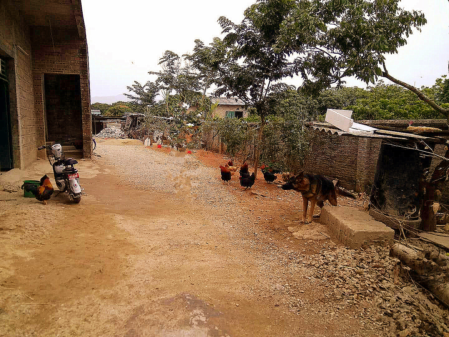 从化城郊旅游度假区1.2亩地360平方房屋庄园整体转让5