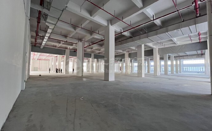 新塘镇夏埔工业区一楼2850平米厂房仓库出租可分租