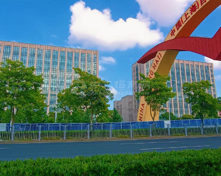 上海市保周跨境电商直播产业园办公楼项目招租