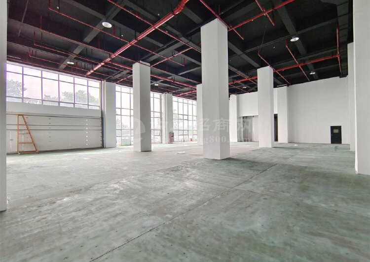 上海自贸区贸易展馆展厅招租，一楼约9米层高6