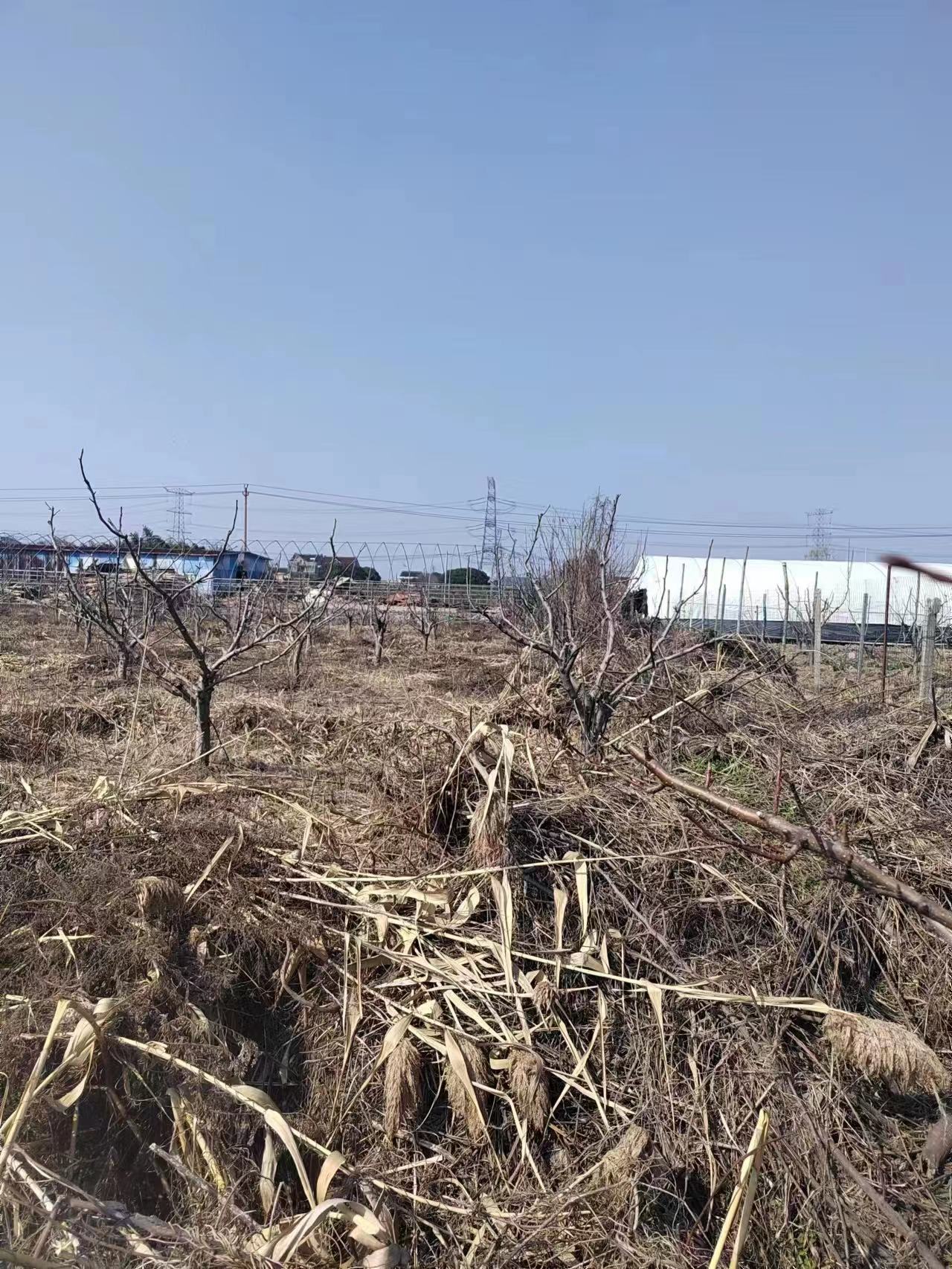 嘉兴王江泾2亩空地出租5