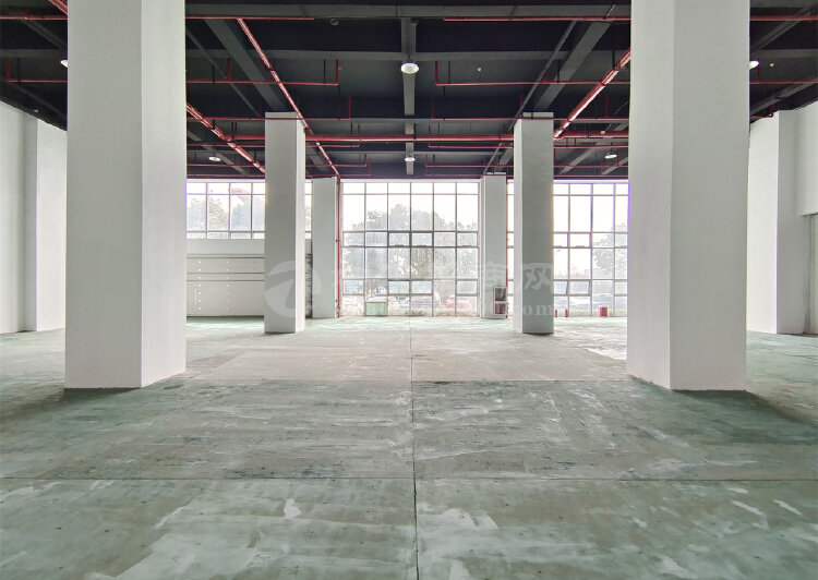 浦东地铁口电商产业园一楼展厅招租层高9米摄影基地8