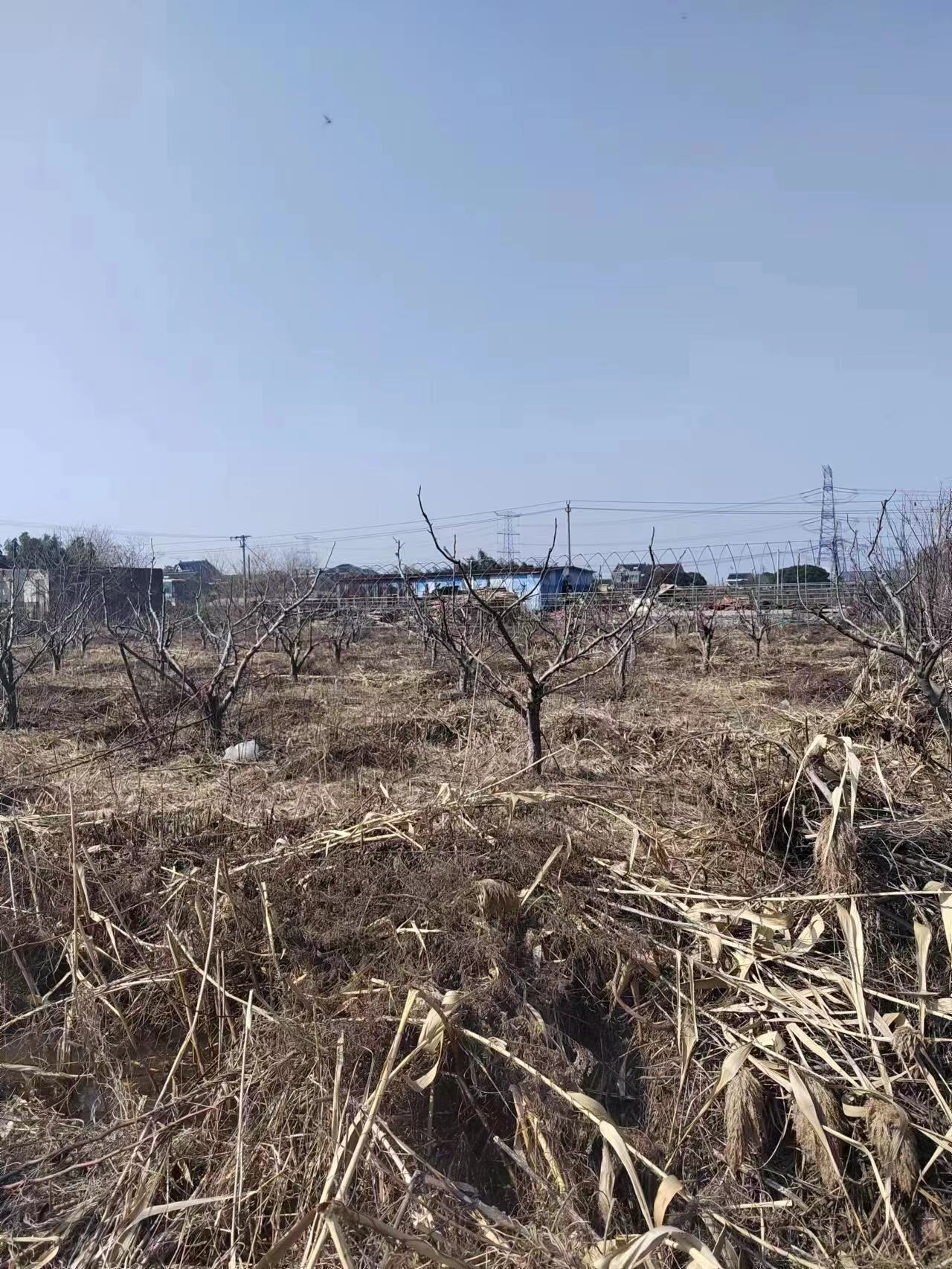 嘉兴王江泾2亩空地出租